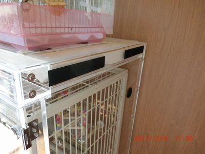 ���x�݃J�o�[�̊|����