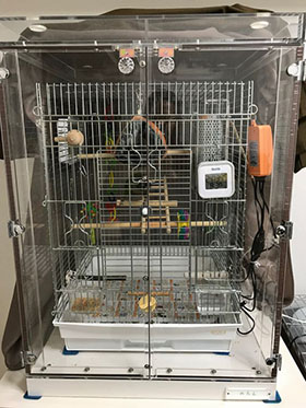 �A�N�����P�[�X�ɂ��x�݃J�o�[