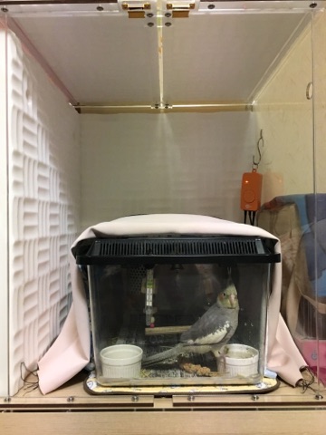 �A�N�����P�[�X�̒��Ƀv���P�[�X�ŕۉ�