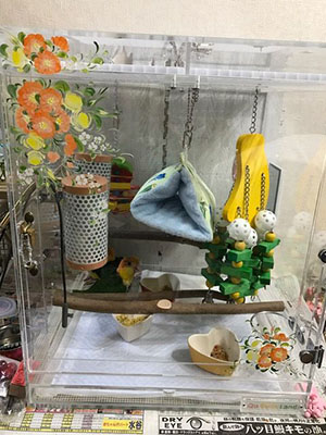 �t�����[�A�[�g���`���ꂽ�A�N������