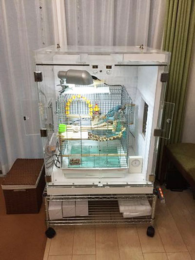 厚板で制作した、鳴き声防音のアクリルケース