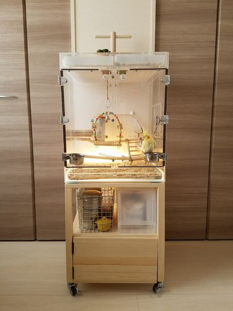 �A�N�����P�[�X�̐�p��