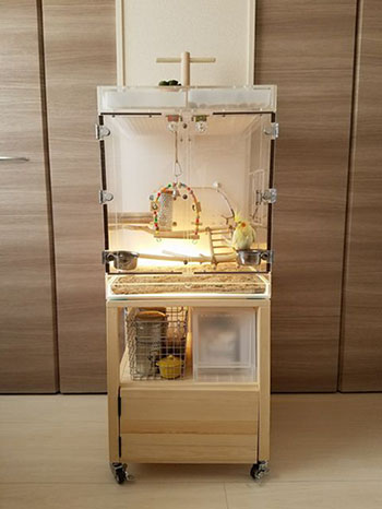 �I�J���C���R�̃A�N�����P�[�X