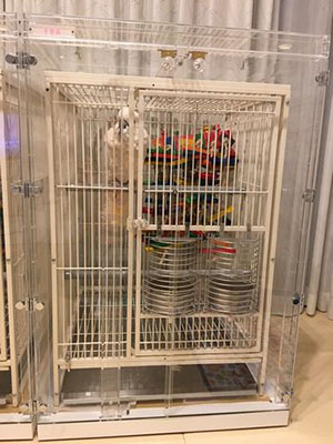 �I�I�o�^���̃A�N�����P�[�X