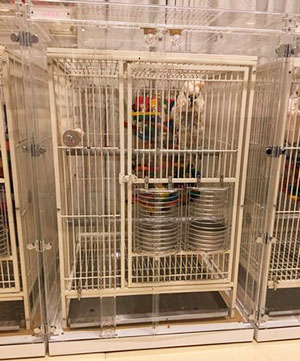 ��^�C���R�̎����΍�