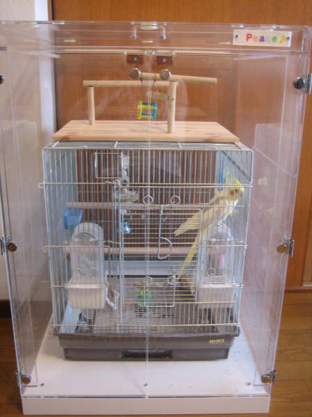 �������̏�Ƀo�[�h�W����u���ėV�я��