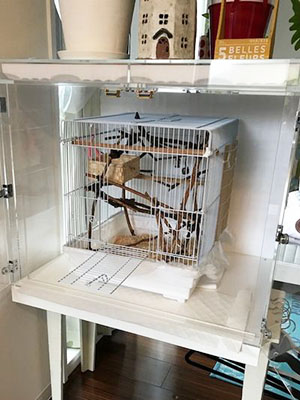 �����J���āA������̏o���莩�R��