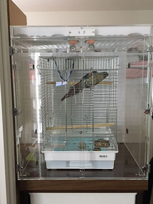 �E���R�C���R�̒���������ꂽ�A�N�����P�[�X