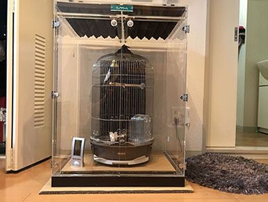 �I�J���C���R�̖h���d�l�A�N�����P�[�X