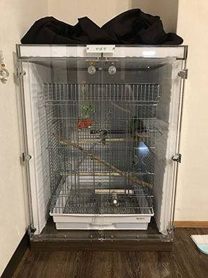 �C���R�̖����̖h���@�A�N�����P�[�X