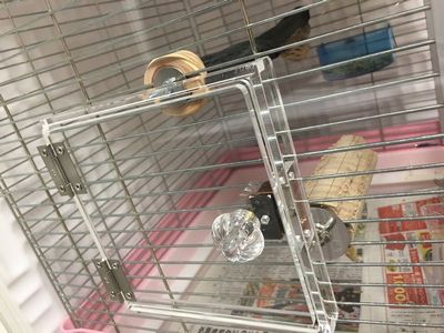 �A�N�����P�[�X�̏���