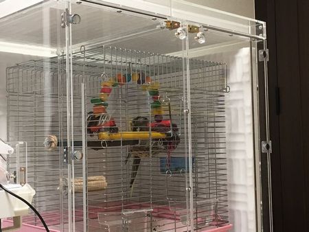 �n���̃I�J���C���R