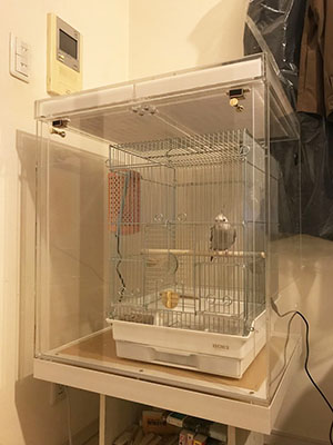 オカメインコの防音アクリルケース