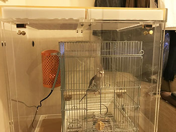 鳥かごを入れるアクリルケース