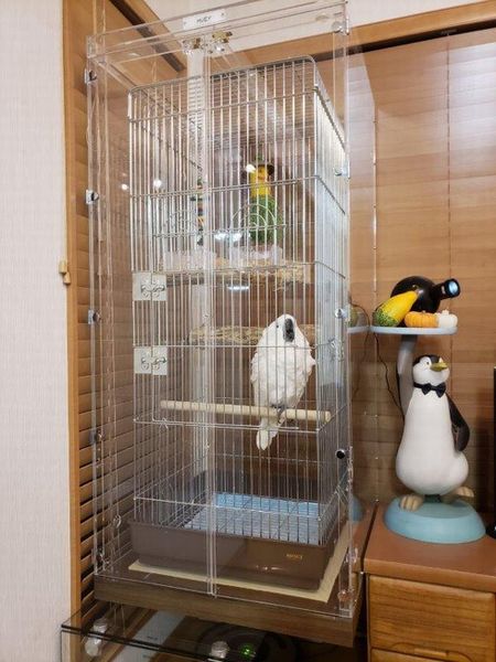 �^�C�n�N�I�E���̃A�N�����P�[�X