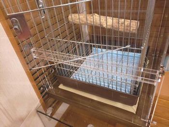 �A�N�����P�[�X�̔��ʂ̕⋭