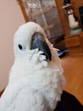 �^�C�n�N�I�E��