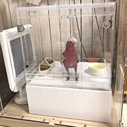 モモイロインコの保温ケース