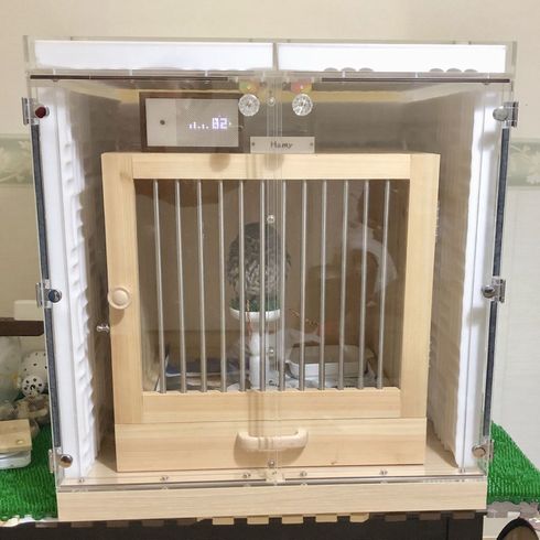 �A�N�����P�[�X�ɓ��ꂽ�R�L�����t�N���E