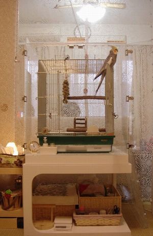 オカメインコの鳥かごを入れたアクリルケース