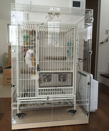 �^�C�n�N�I�E���̒���������ꂽ�A�N�����P�[�X