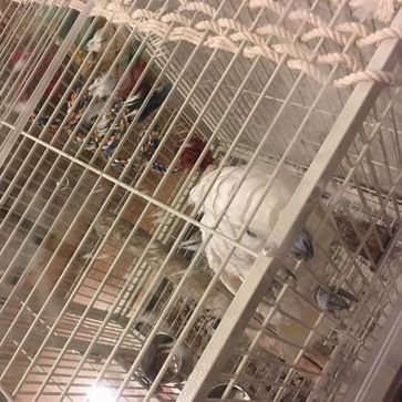 �^�C�n�N�I�E��