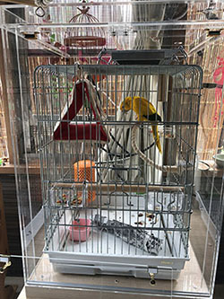 �P�[�X���̉��x��30��