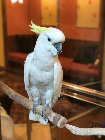 �A�I���L�o�^��