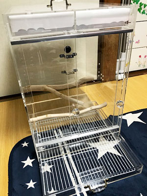 �����̈����o���g���C