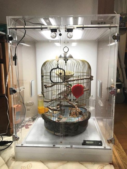 �����̒���������ꂽ�A�N�����P�[�X