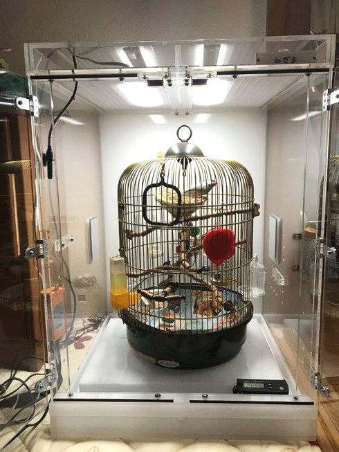 �ۉ��Əォ��̏Ɩ�