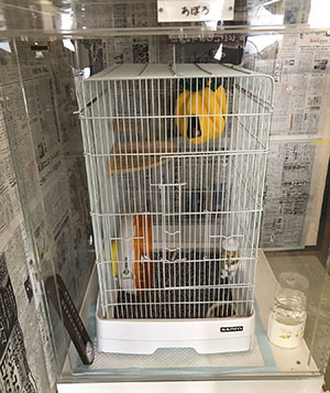 フクロモモンガの防音ケース