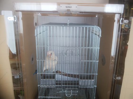 インコのアクリルケース