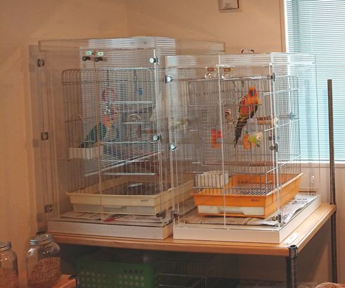 �A�N�����P�[�X�̑ϗp�N��12�N�o��