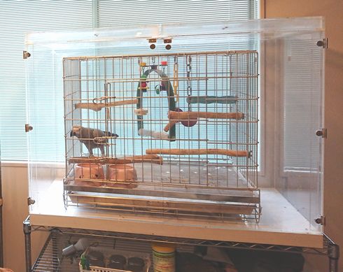 12�N�o�߂��Ă܂�������