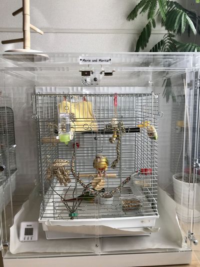 ウロコインコの鳥かごを入れたアクリルケース