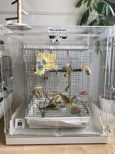 インコのストレス解消グッズが満載
