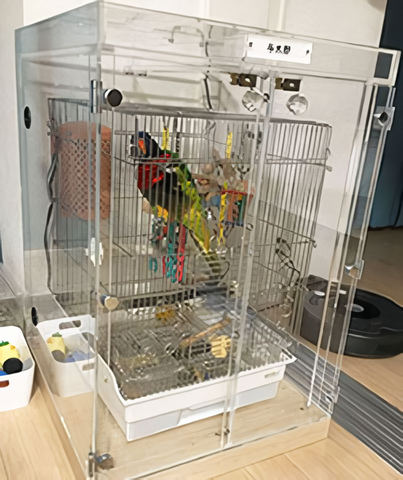 �S�V�L�Z�C�K�C�C���R�̃A�N�����P�[�X