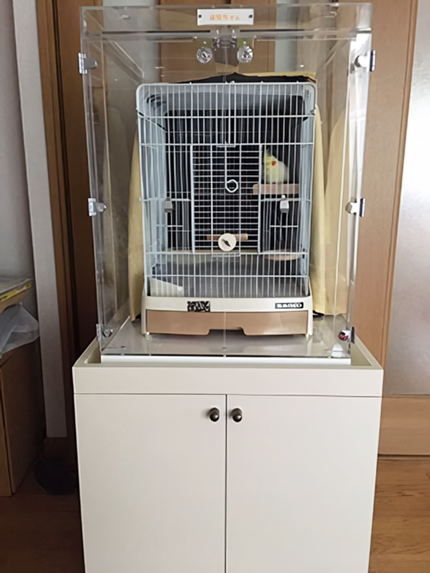 �A�N�����P�[�X��u���A�ݒu������