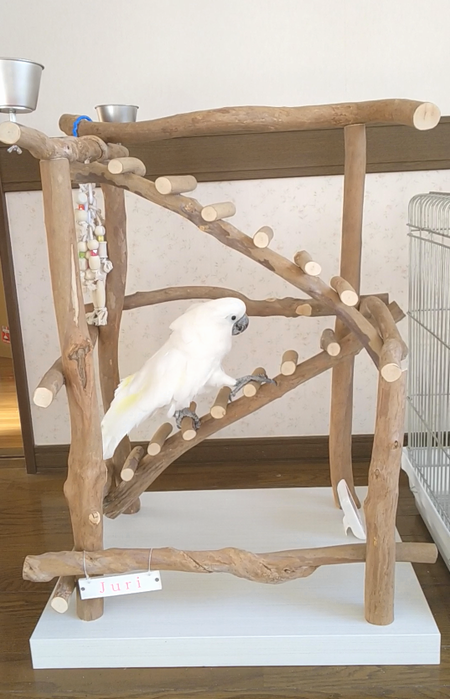 �n�V�S��o��^�C�n�N�I�E��