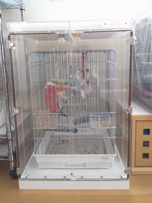 モモイロインコの鳥かごを入れたアクリルケース 防音仕様