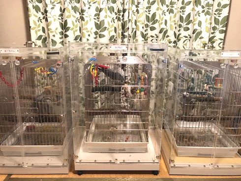 ���E���̒���������ꂽ�A�N�����P�[�X