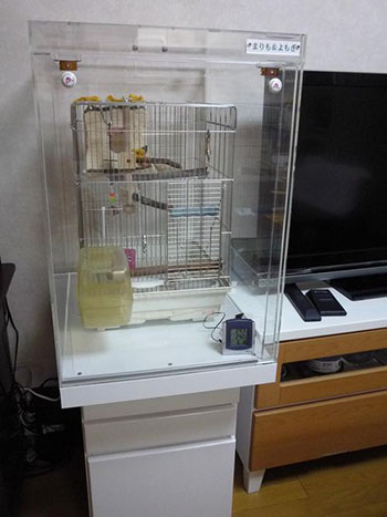 �������p�A�N�����P�[�X