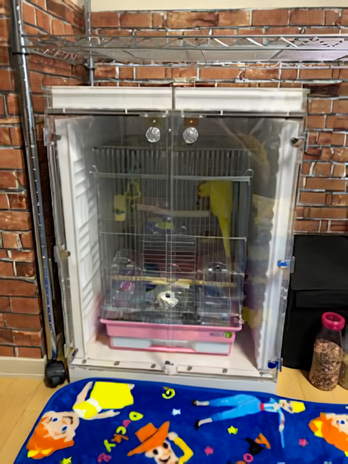 ���J�P�C���R�̃A�N�����P�[�X�@�h���d�l