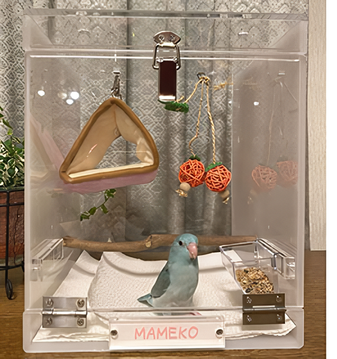 マメルリハの飼育アクリルケース