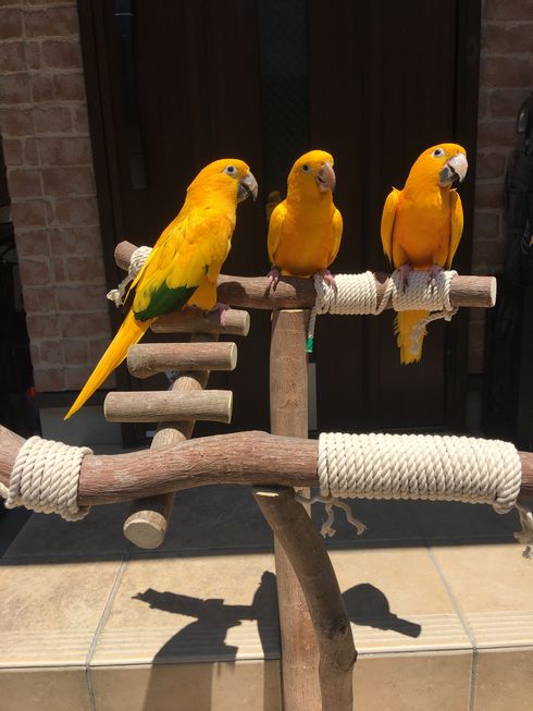 ������������j���I�E�C���R