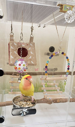 ���Ƒ����������C�A�E�g