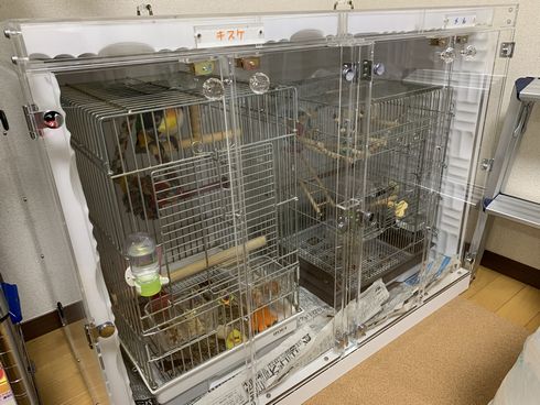 鳥かご2台収納アクリルケース 吸音材つき