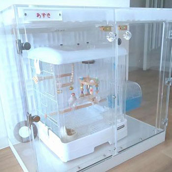 �����̒���������ꂽ�A�N�����P�[�X