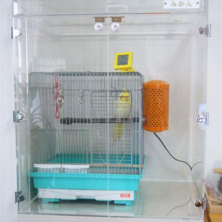 �I�J���C���R�̒���������ꂽ�A�N�����P�[�X